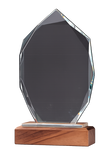 PLACA CRISTAL ESCUDO BASE MADERA 
